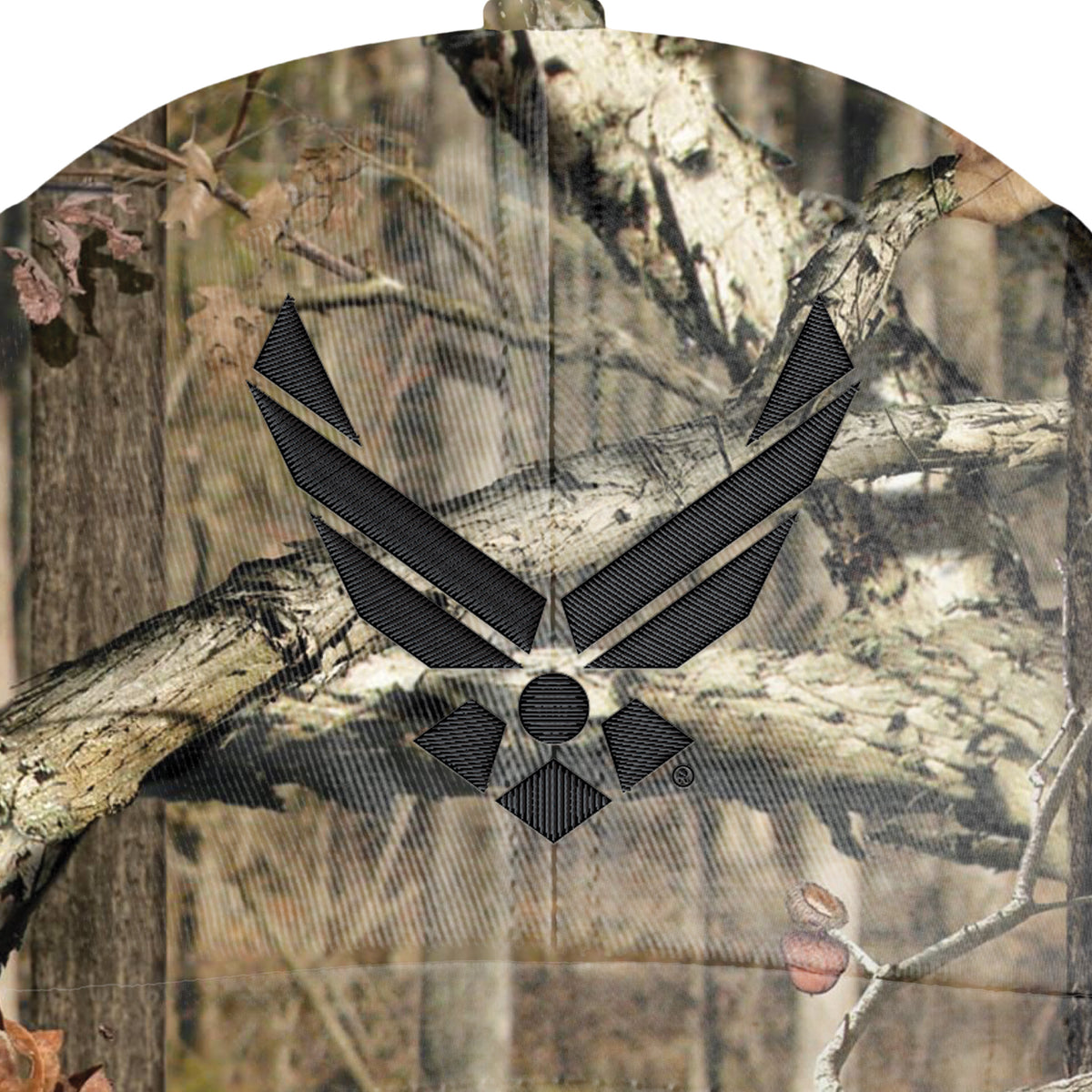 Air Force Cap Detail Image