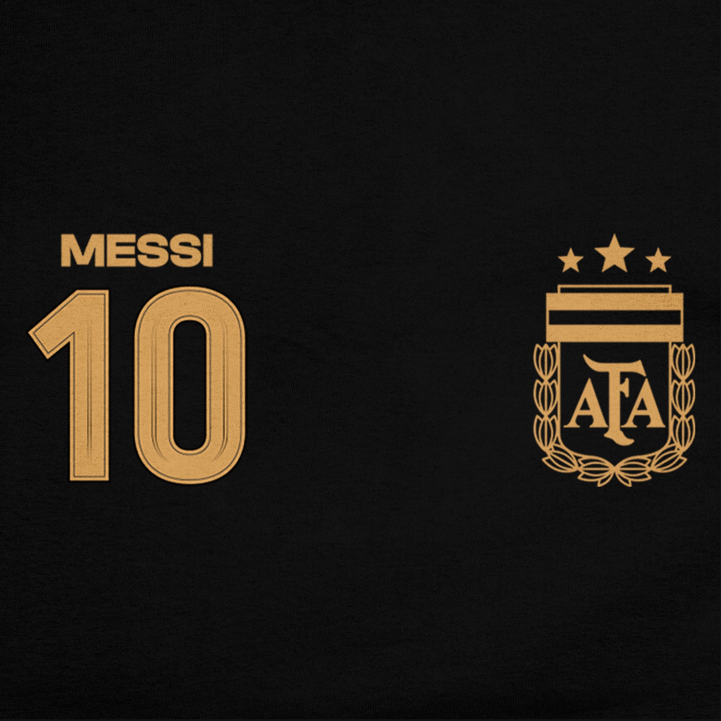 Argentina Lionel Messi Pullover Hoodie - AFA117PH-LM