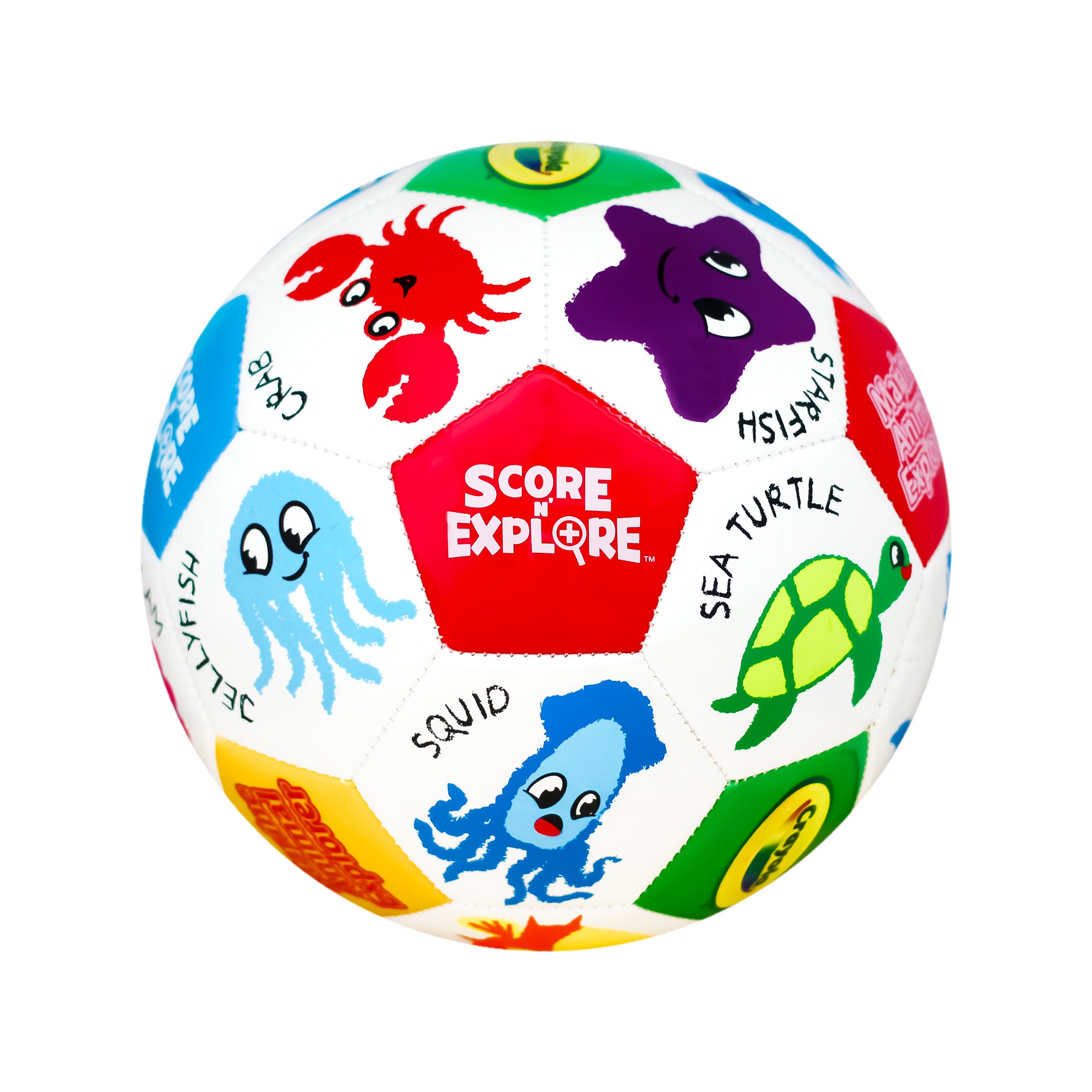 Crayola Soccer Ball CRAY91BL - Marine Animal - Size 3