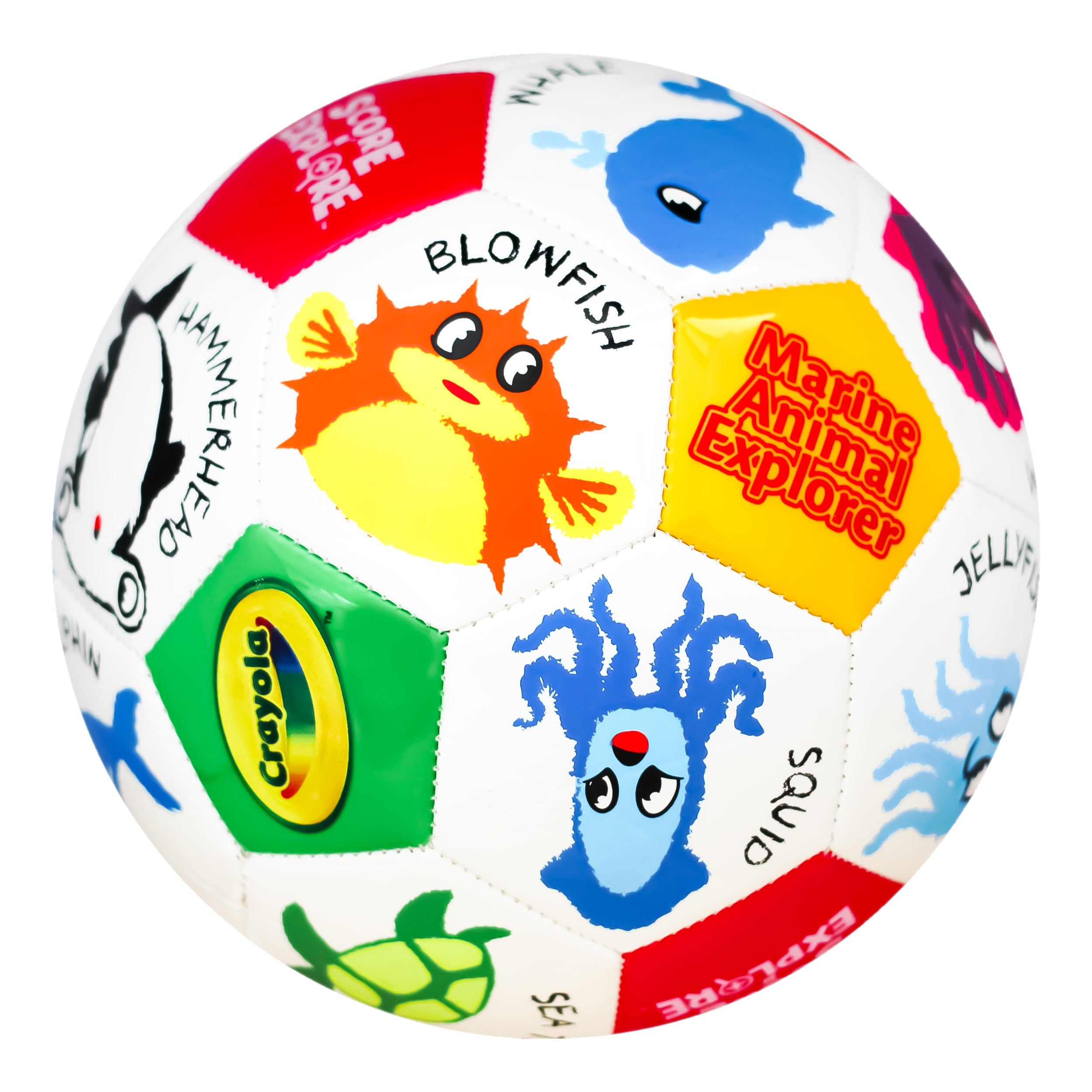 Crayola Soccer Ball CRAY91BL  - Marine Animal