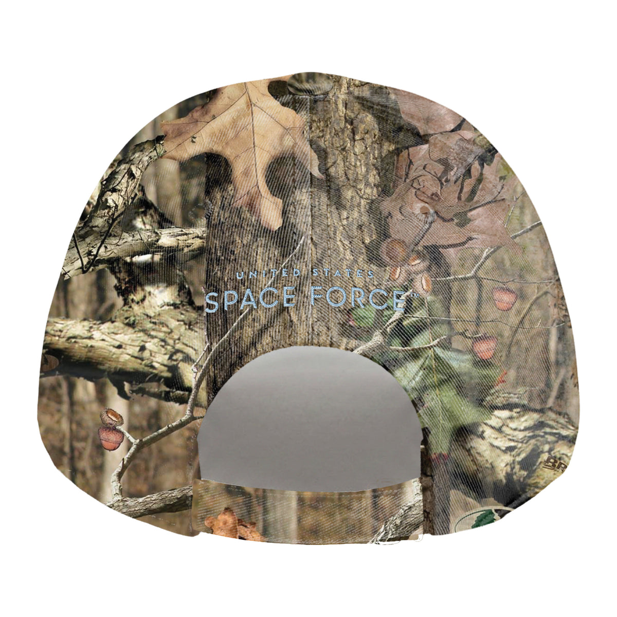 Space Force Cap Back Image